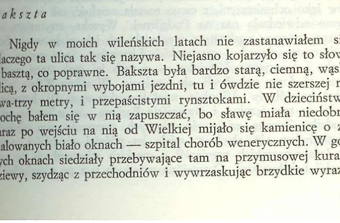 Mieszkanie Old Town 빌뉴스